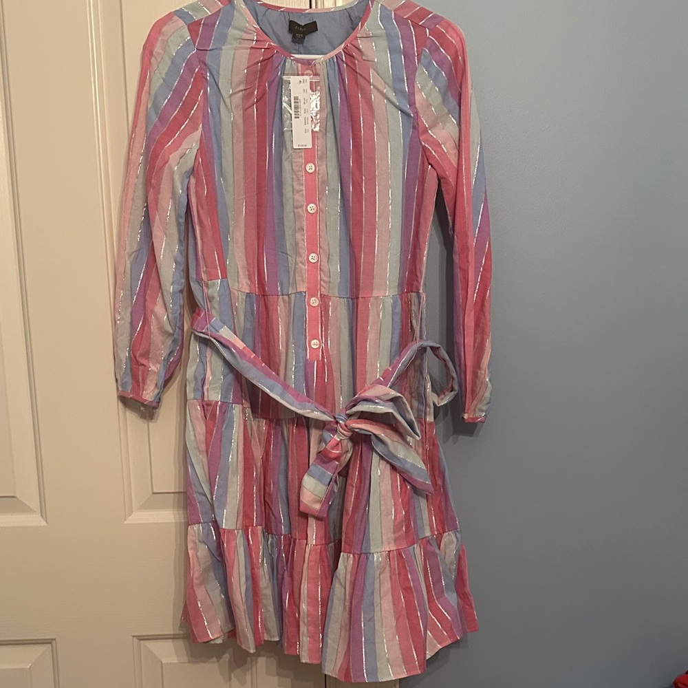 NWT Women's XXS J. Crew Shirt Dress with Pink, Blue, and Metallic Silver Stripes